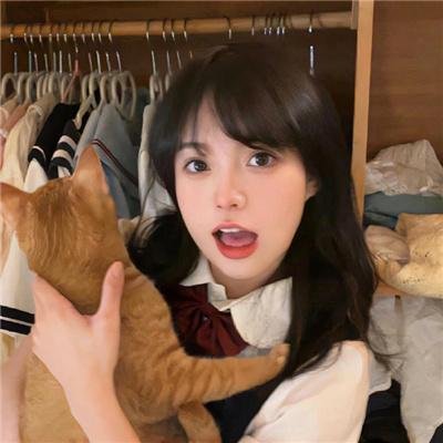 手机里的眼泪