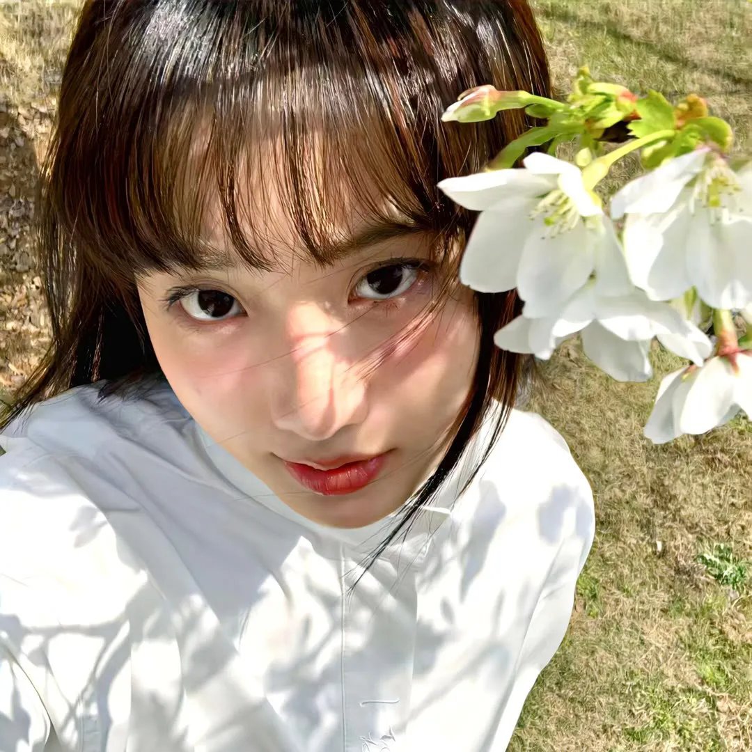 笼子在寻找小鸟